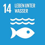 Icon des Nachhaltigkeitsziels SDG 14: Leben unter Wasser – blaues Quadrat mit Fisch und Wellen.
